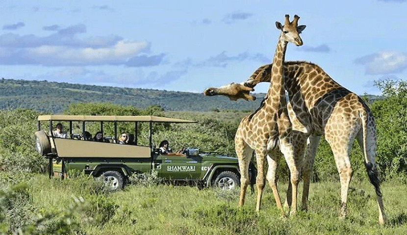 تور 11 روزه آفریقای جنوبی